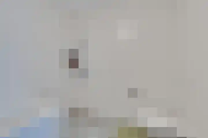 Vissenberg 12 B Sprundel thumbnail 32