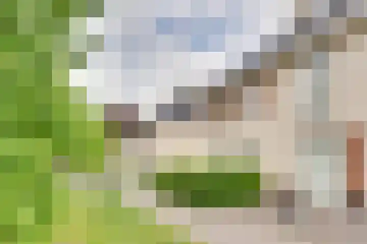 Vissenberg 12 B Sprundel thumbnail 4