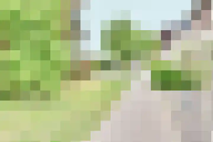 Vissenberg 12 B Sprundel thumbnail 5