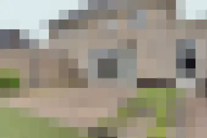 Vissenberg 12 B Sprundel thumbnail 55