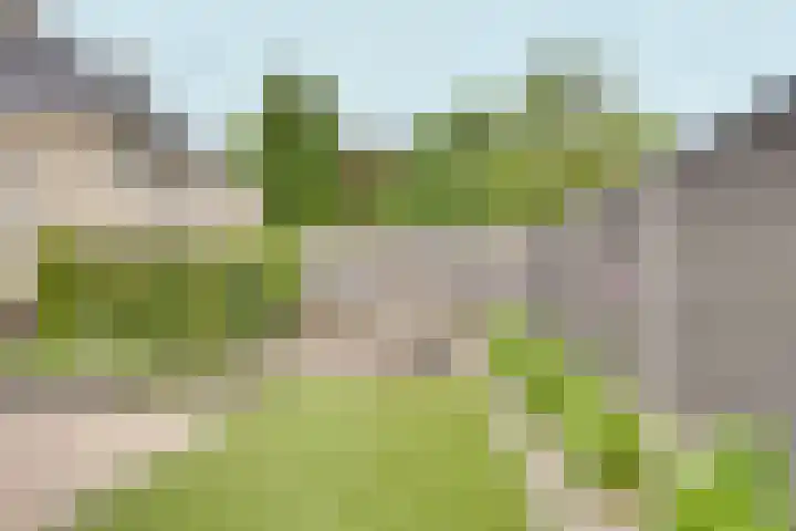 Vissenberg 12 B Sprundel thumbnail 57