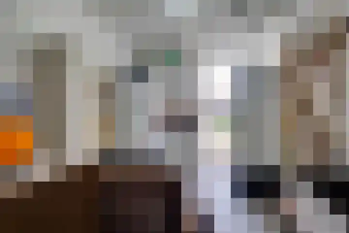 Vissenberg 12 B Sprundel thumbnail 61