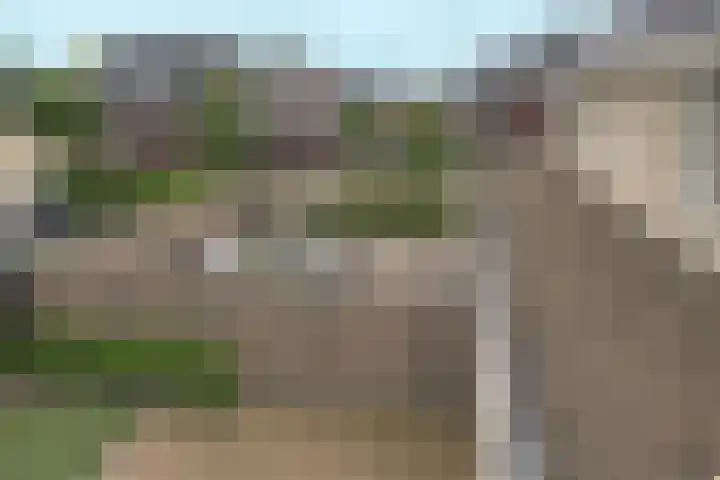 Vissenberg 12 B Sprundel thumbnail 66