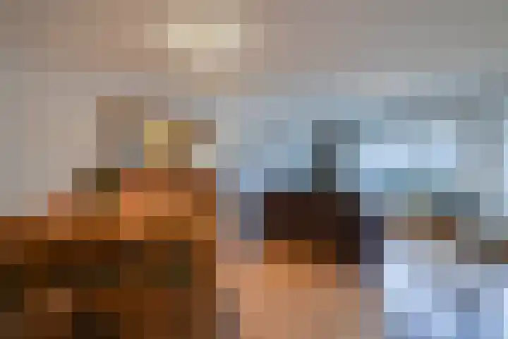 Visser 15 a Deurne thumbnail 12