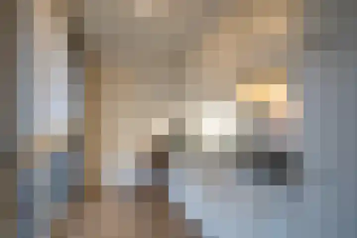 Visser 15 a Deurne thumbnail 17