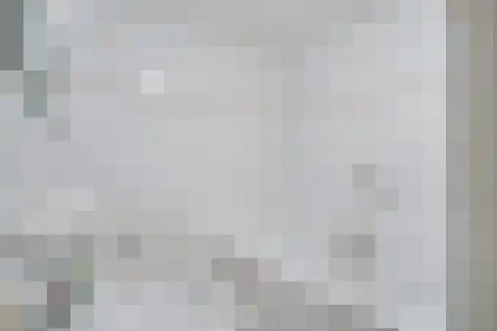 Visser 15 a Deurne thumbnail 27
