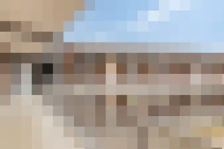 Visser 15 b Deurne thumbnail 10