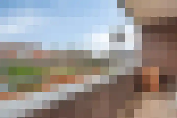 Visser 15 b Deurne thumbnail 22