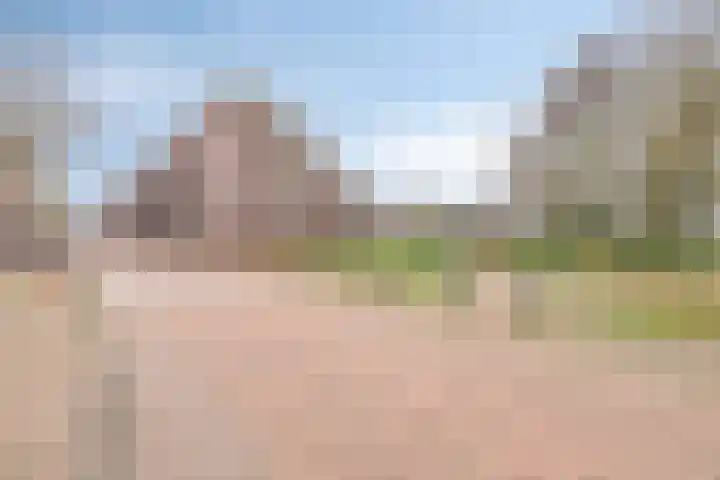 Visser 15 b Deurne thumbnail 32