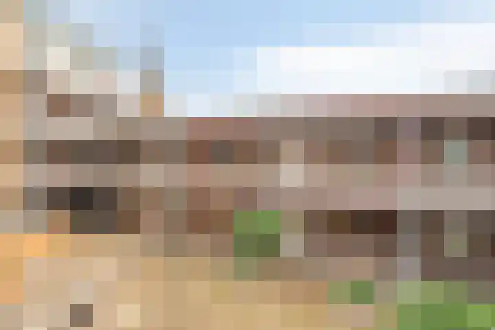 Visser 15 b Deurne thumbnail 5