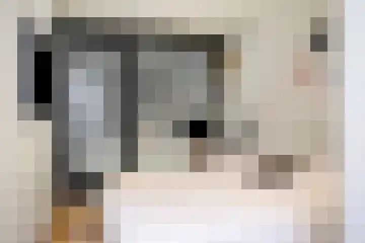 Visseringlaan 5 Emmeloord thumbnail 30