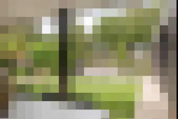 Visseringlaan 5 Emmeloord thumbnail 46