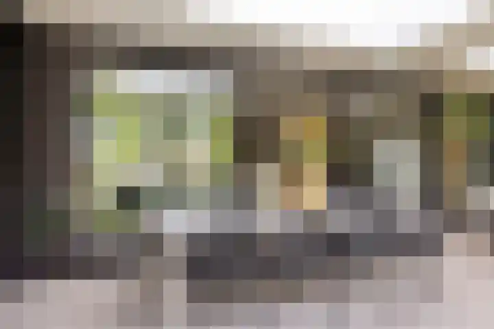Visseringlaan 5 Emmeloord thumbnail 47