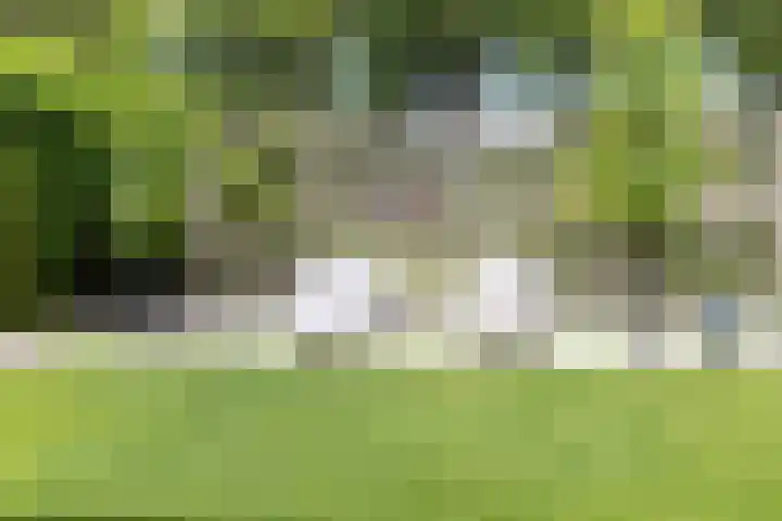 Visseringlaan 5 Emmeloord thumbnail 48