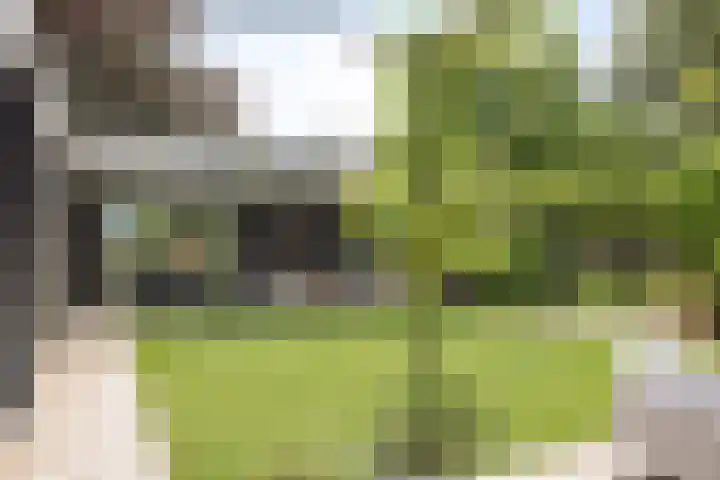 Visseringlaan 5 Emmeloord thumbnail 49