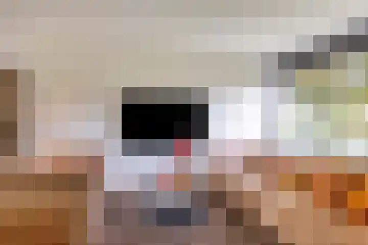 Visseringlaan 5 Emmeloord thumbnail 5