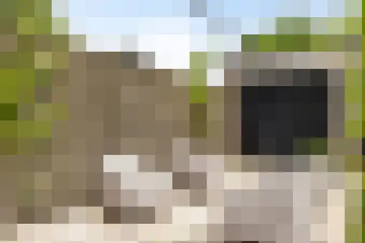 Visseringlaan 5 Emmeloord thumbnail 50