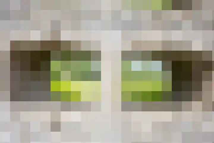 Visseringlaan 5 Emmeloord thumbnail 51