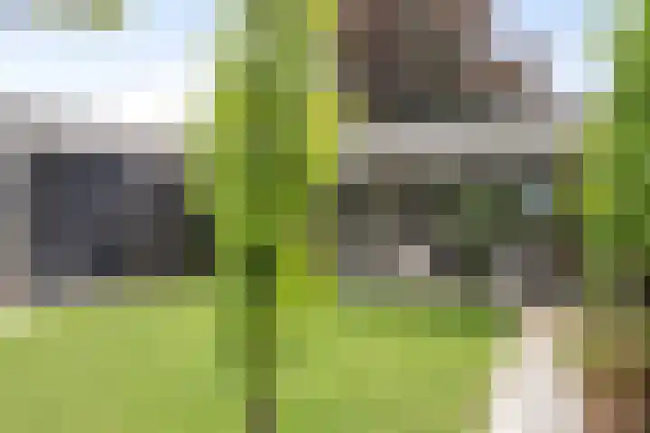 Visseringlaan 5 Emmeloord thumbnail 53