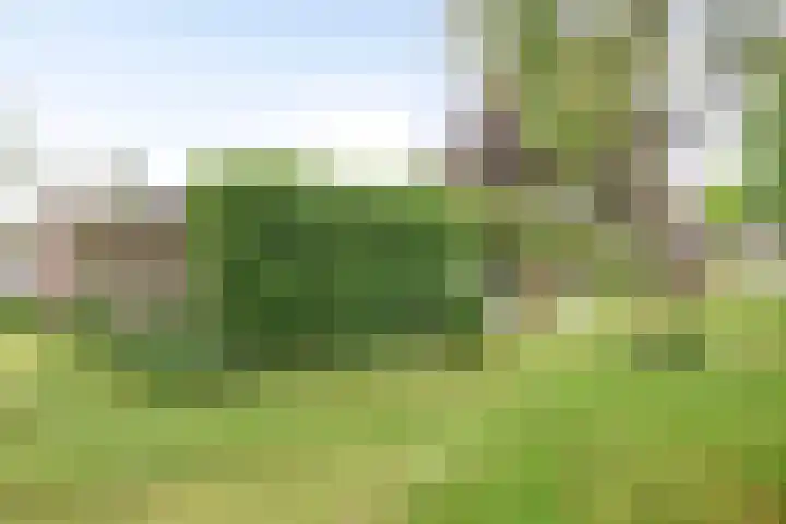 Visseringlaan 5 Emmeloord thumbnail 57