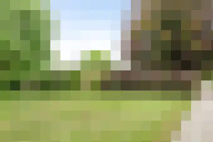 Visseringlaan 5 Emmeloord thumbnail 58