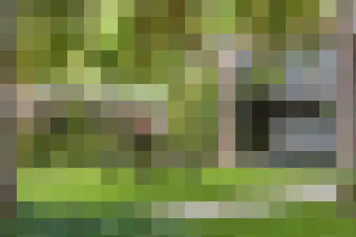 Visseringlaan 5 Emmeloord thumbnail 60