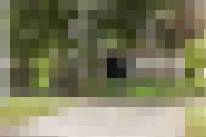 Visseringlaan 5 Emmeloord thumbnail 62