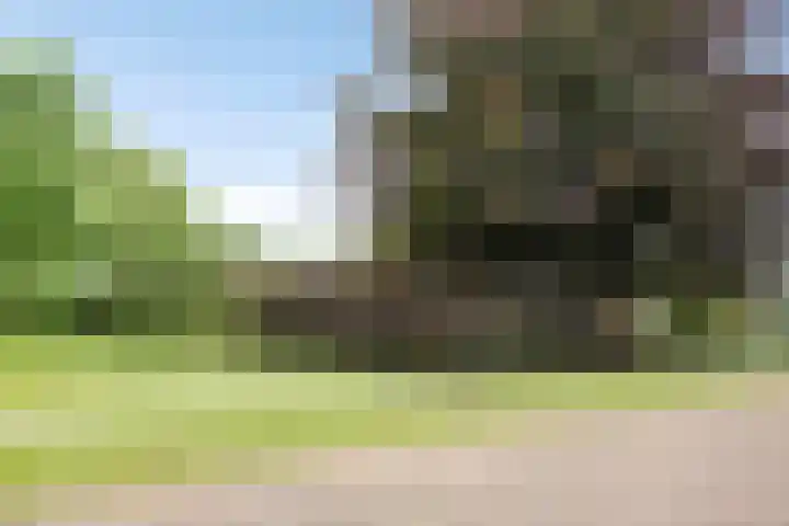 Visseringlaan 5 Emmeloord thumbnail 65