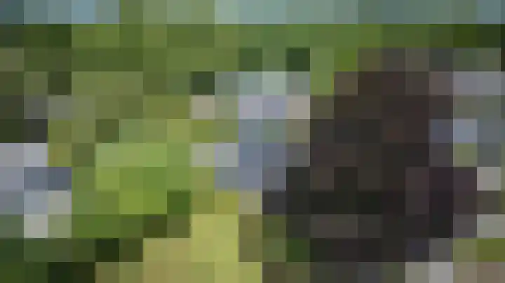 Visseringlaan 5 Emmeloord thumbnail 66