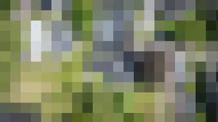 Visseringlaan 5 Emmeloord thumbnail 67