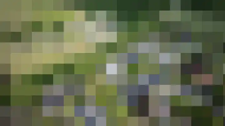 Visseringlaan 5 Emmeloord thumbnail 68
