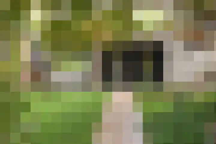 Visseringlaan 5 Emmeloord thumbnail 70