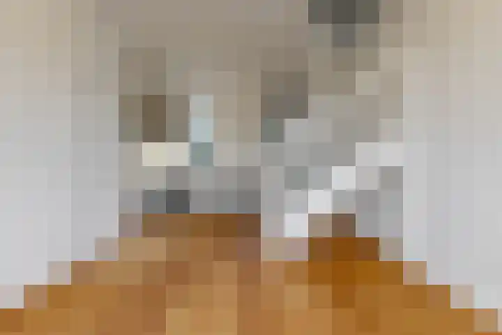 Visseringstraat 1 2 Amsterdam thumbnail 9