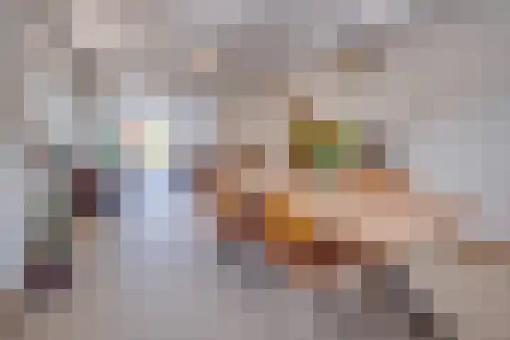 Visserstraat 14 Linne thumbnail 14