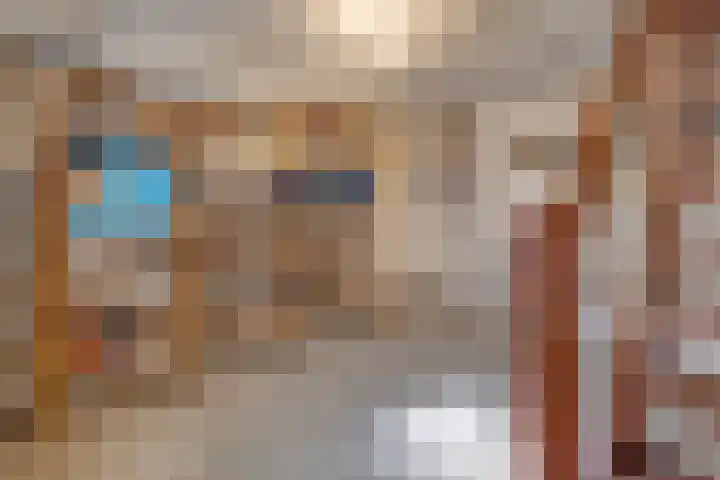 Visserstraat 14 Linne thumbnail 31