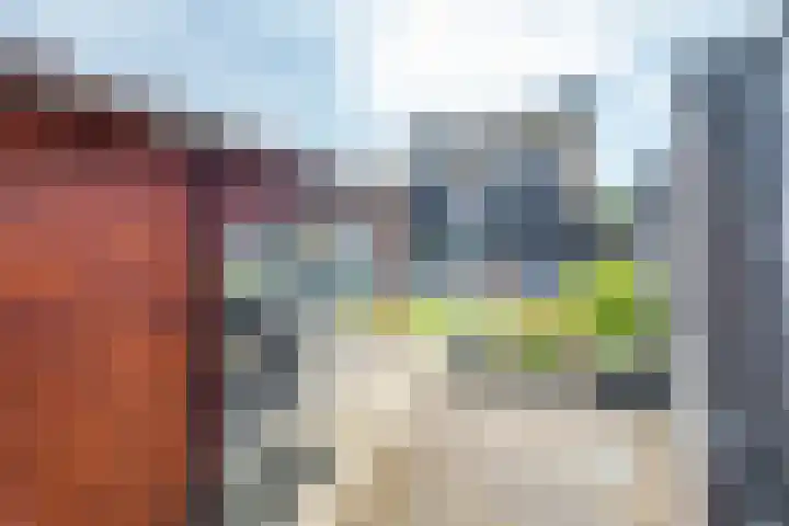 Visserstraat 14 Linne thumbnail 35