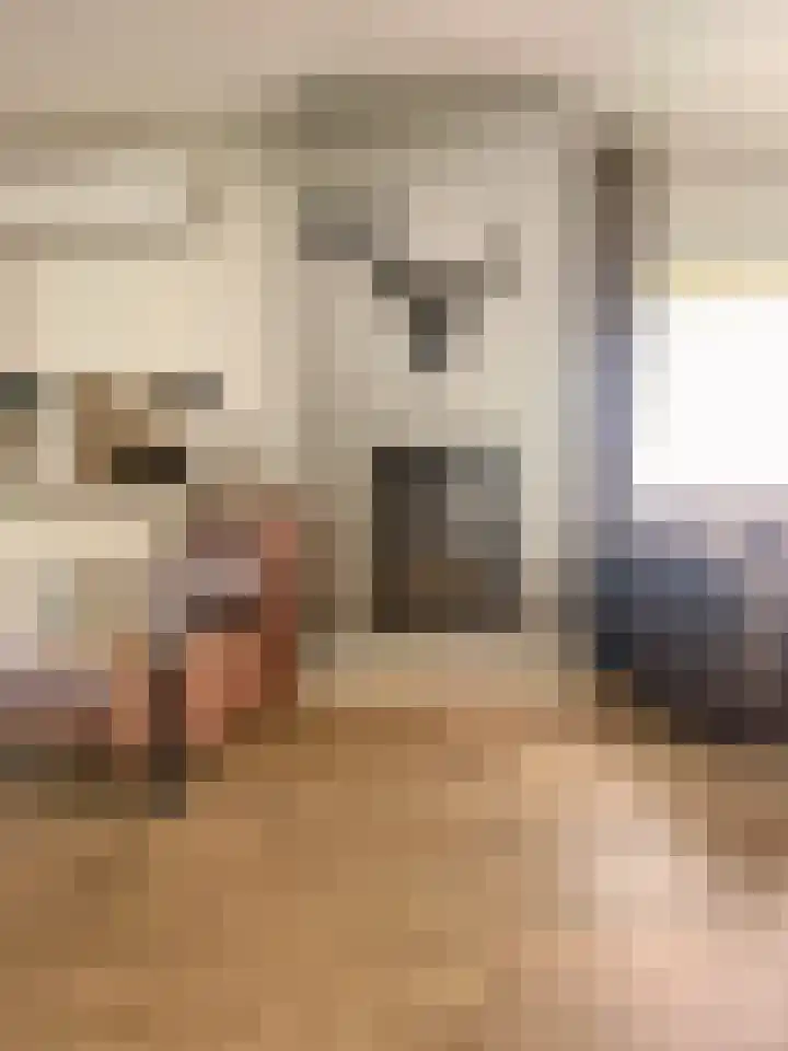 Visserstraat 46 Linne thumbnail 11