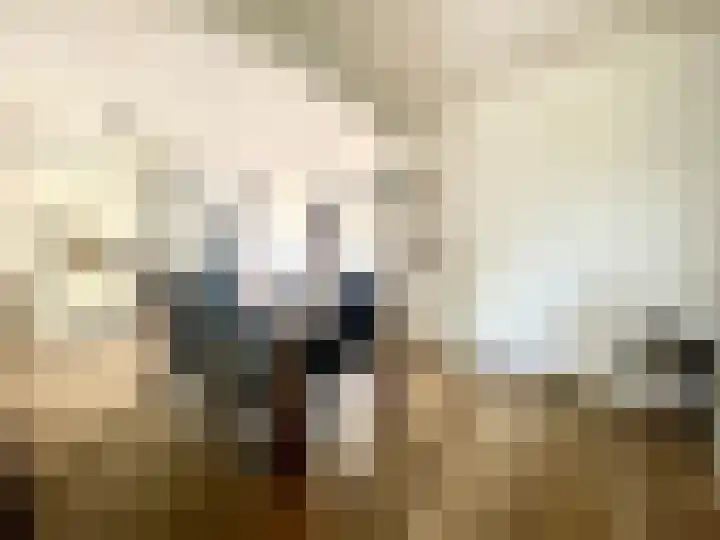 Visserstraat 46 Linne thumbnail 13
