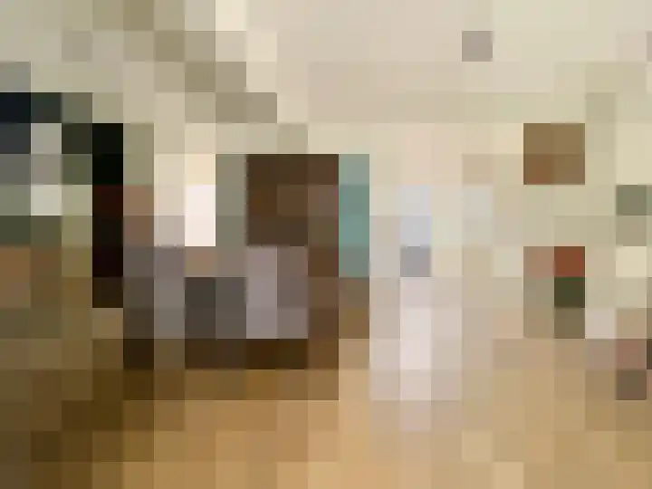 Visserstraat 46 Linne thumbnail 14