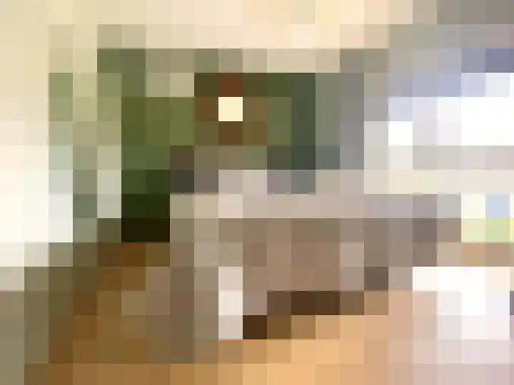 Visserstraat 46 Linne thumbnail 23