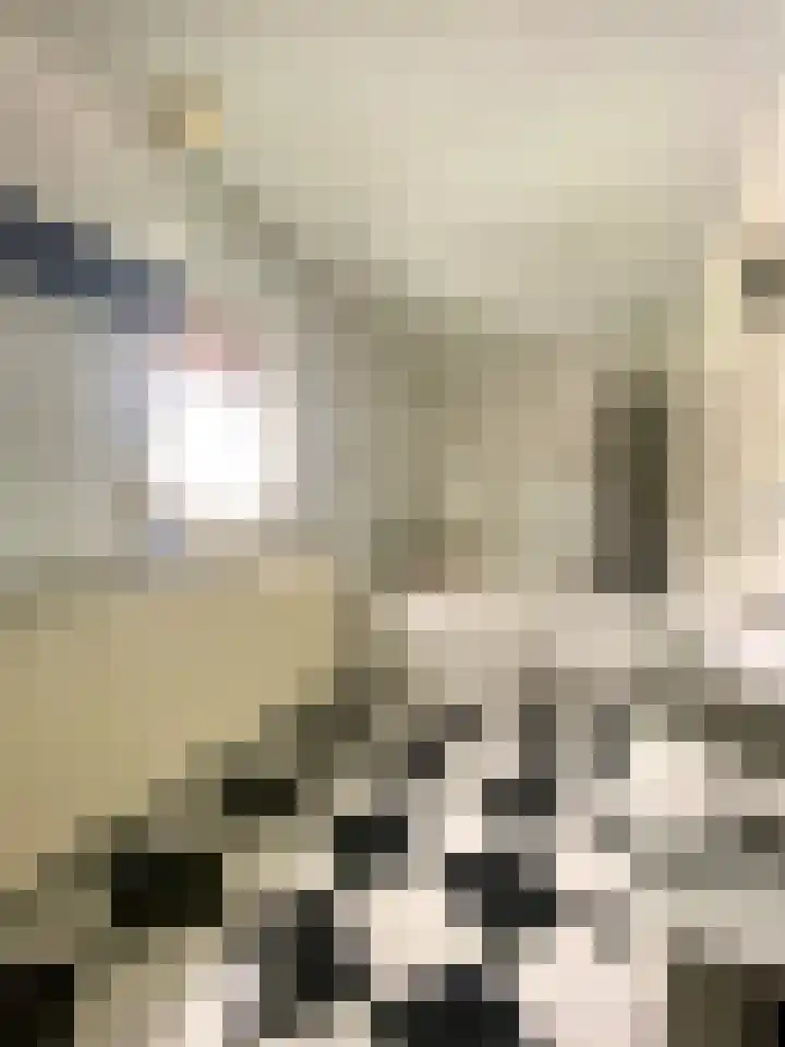 Visserstraat 46 Linne thumbnail 30