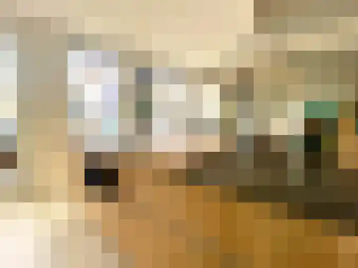 Visserstraat 46 Linne thumbnail 4