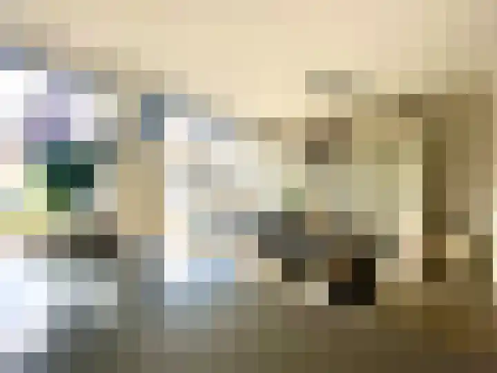 Visserstraat 46 Linne thumbnail 7