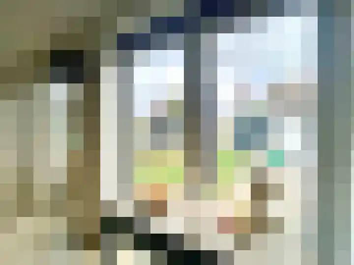 Visserstraat 46 Linne thumbnail 9
