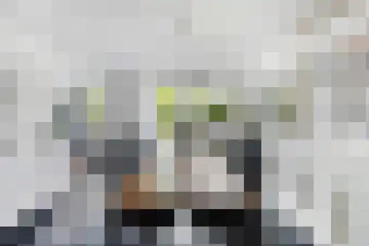 Visserstuin 100 Dordrecht thumbnail 19