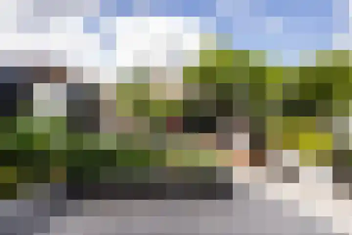 Visserstuin 100 Dordrecht thumbnail 35