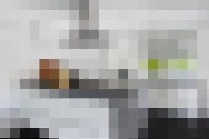 Visserstuin 100 Dordrecht thumbnail 4
