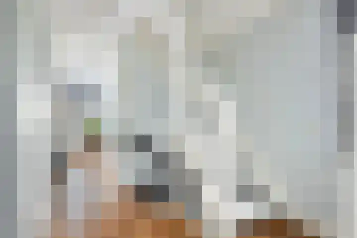 Visserstuin 100 Dordrecht thumbnail 42