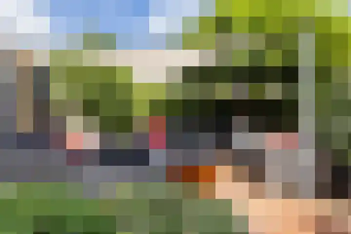 Visserstuin 100 Dordrecht thumbnail 5