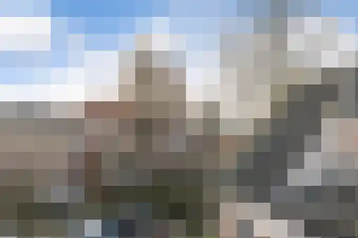 Visstraat 17 Tholen thumbnail 5